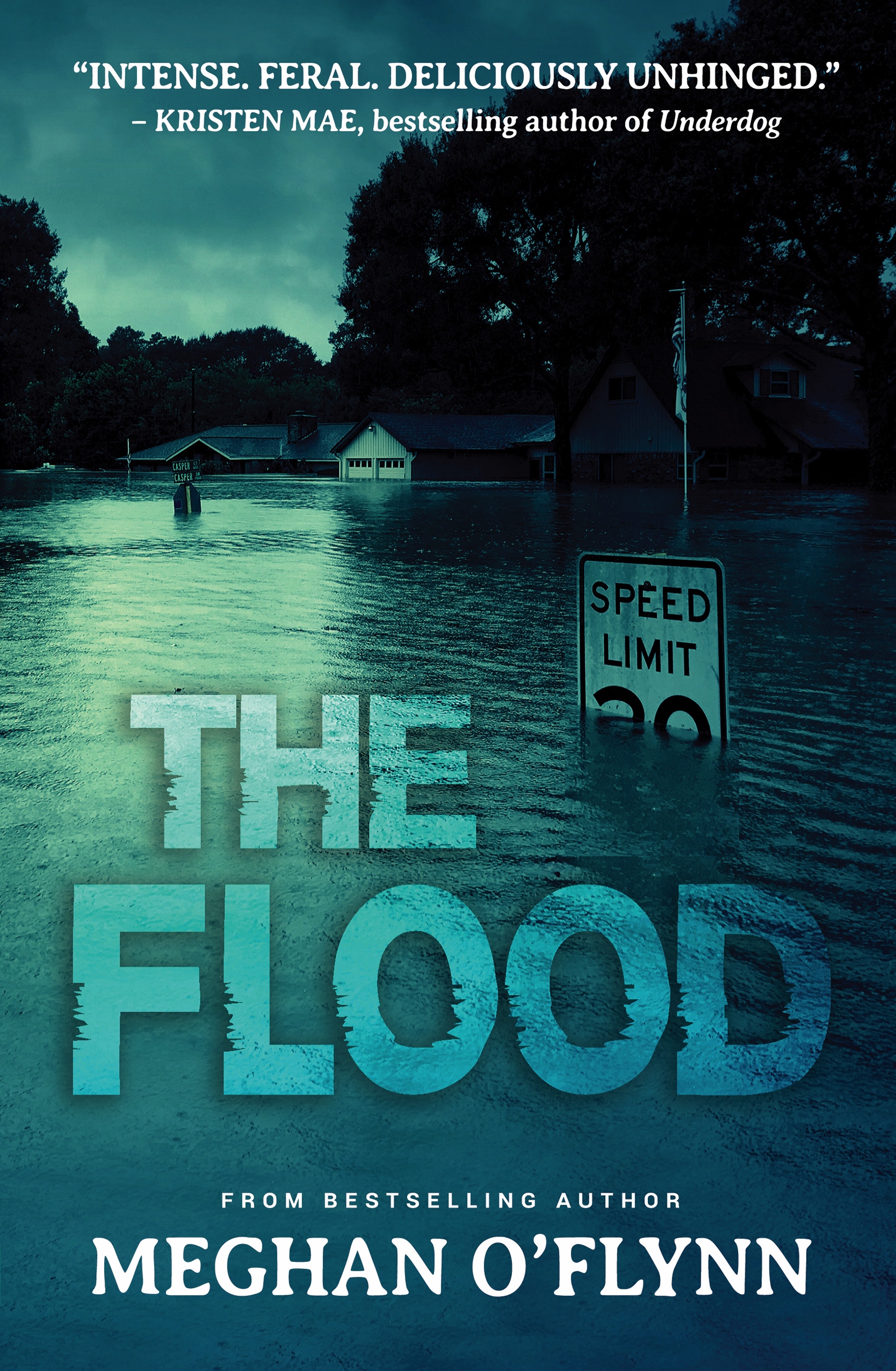 The Flood book cover