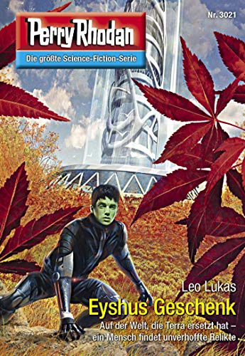 Eyshus Geschenk book cover
