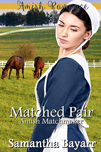 The Amish Matchmaker book cover 2