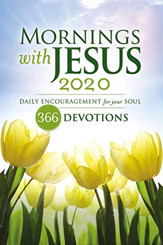 Mornings with Jesus 2020 book cover