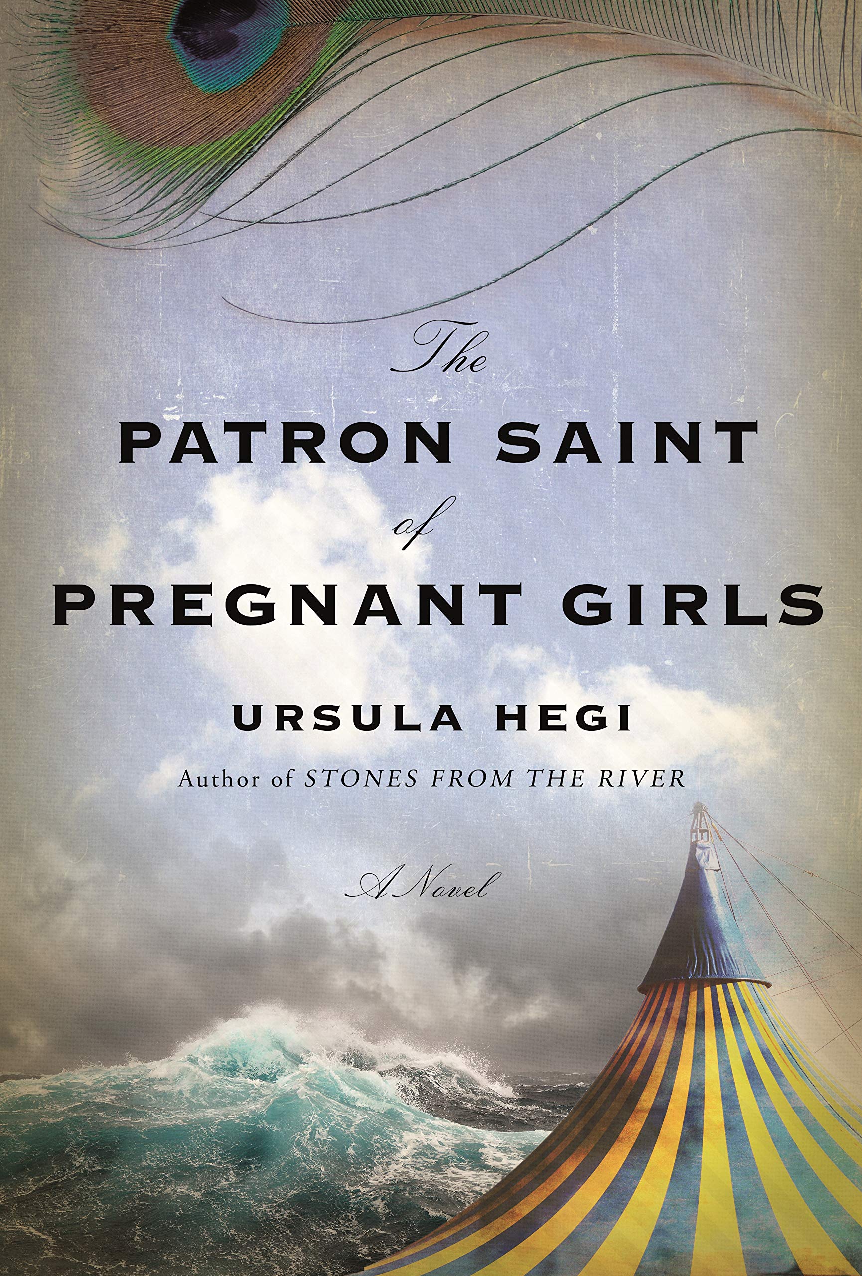 The Patron Saint of Pregnant Girls book cover