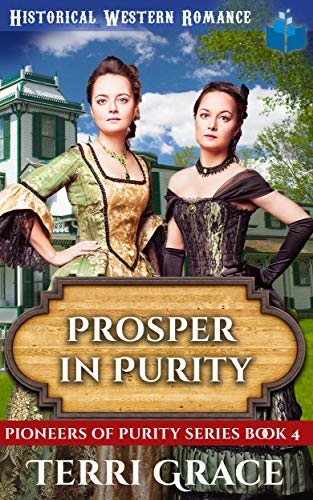 Prosper in Purity book cover
