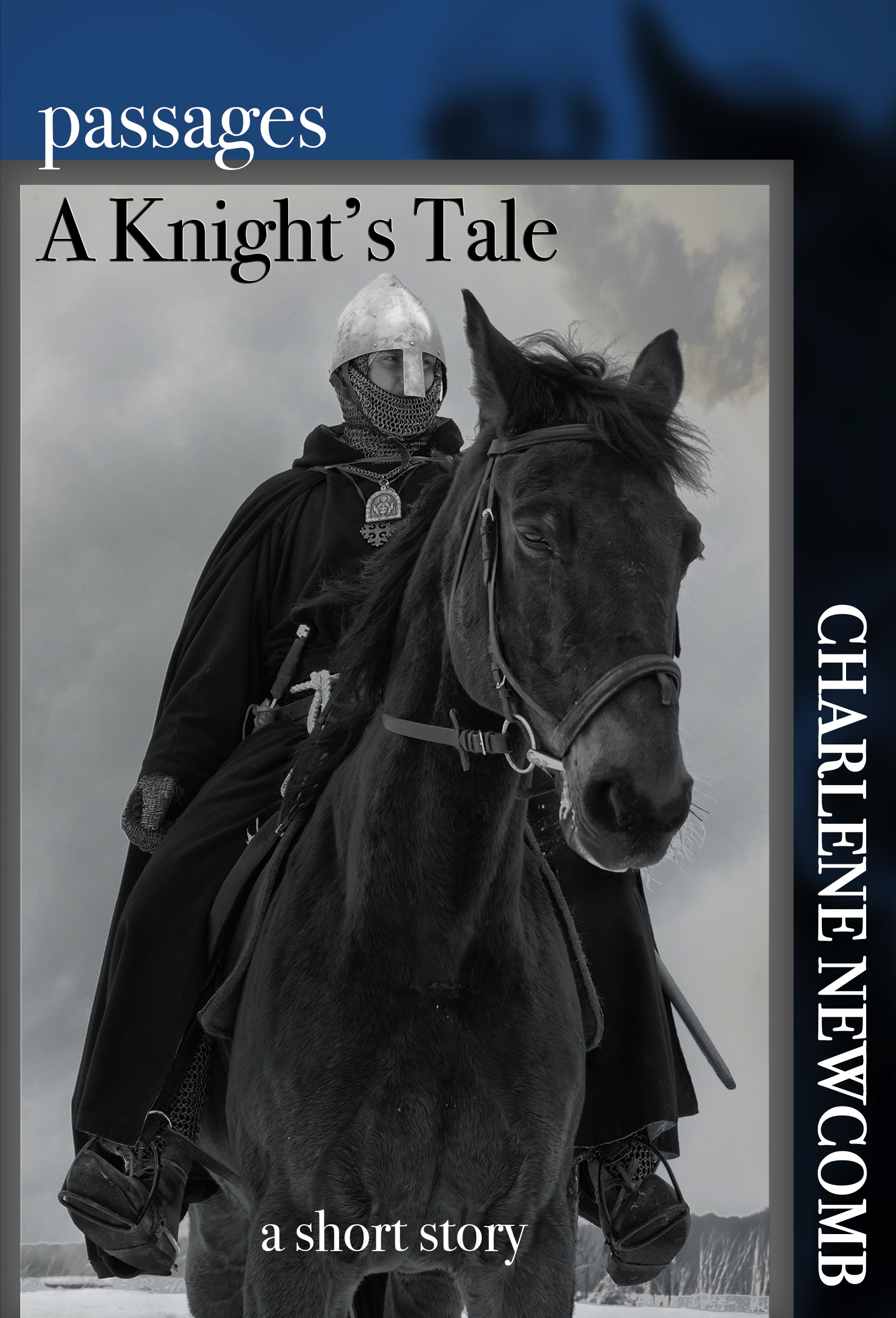 A Knight's Tale book cover