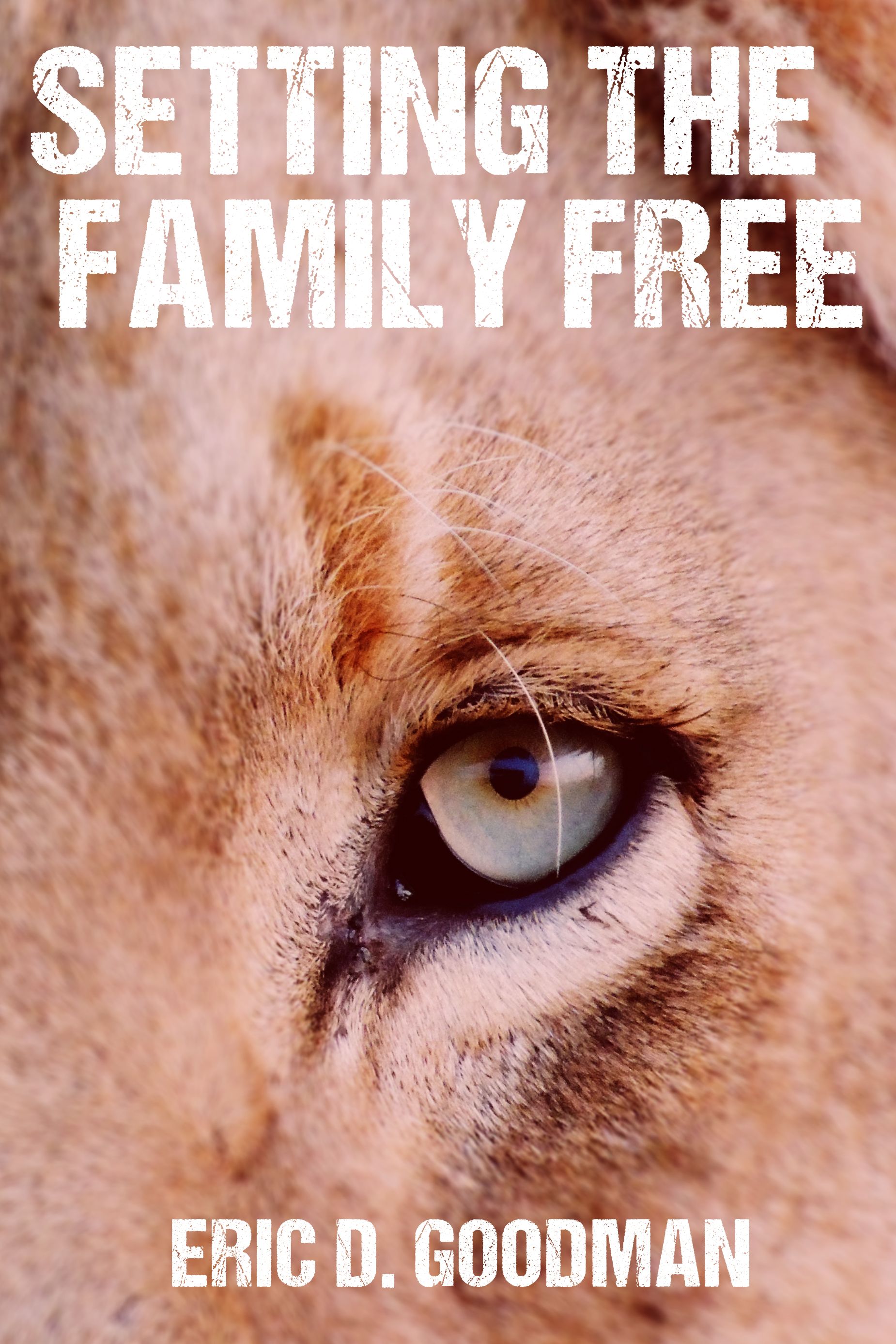 Setting the Family Free
