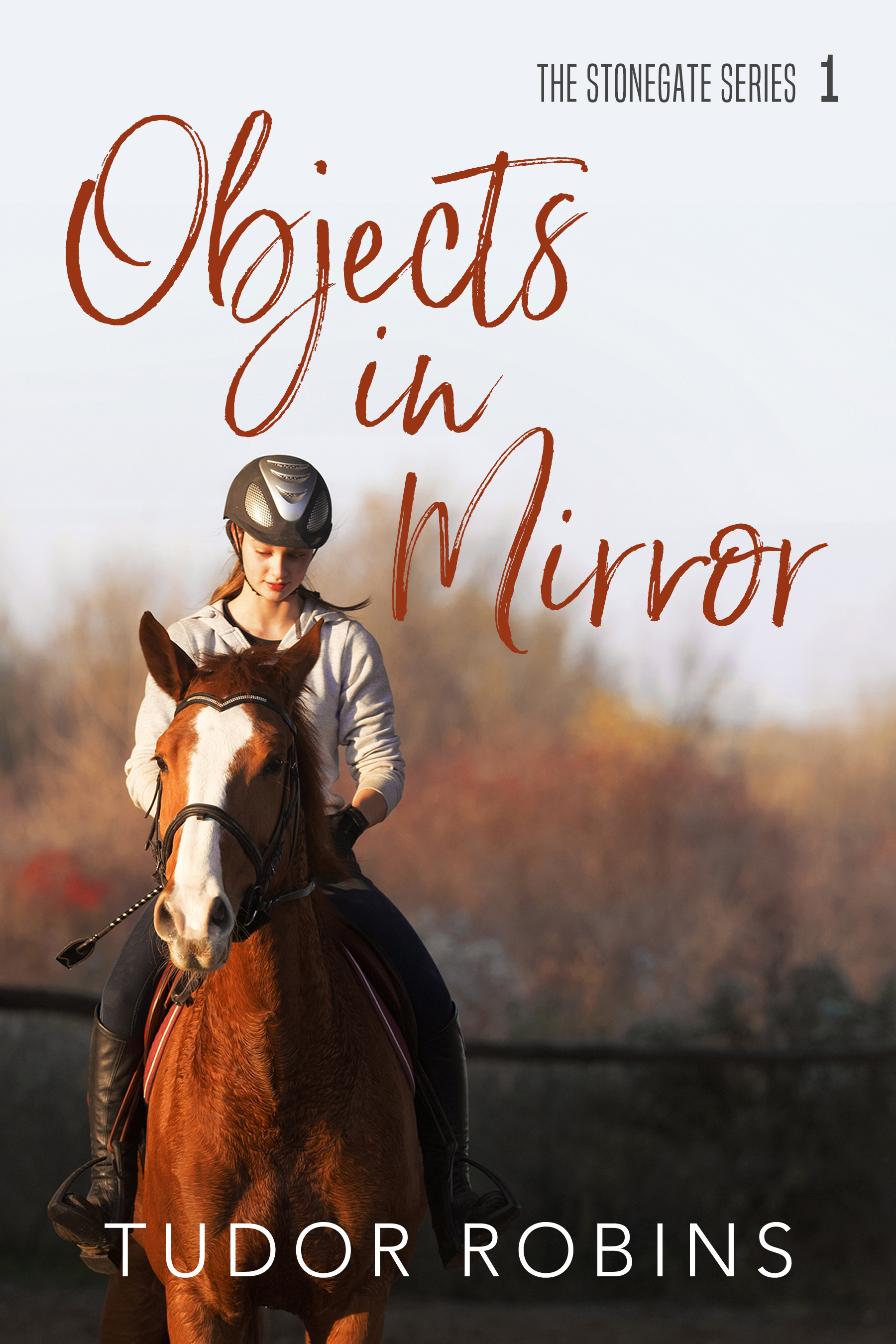 Objects in Mirror (Stonegate, #1)