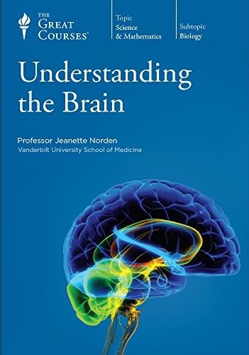 Understanding the Brain