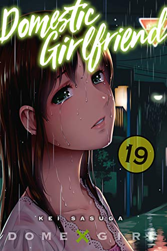 Domestic Girlfriend, Vol. 19 book cover