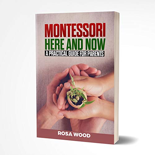 Montessori: A practical guide for parents about a modern approach to ...