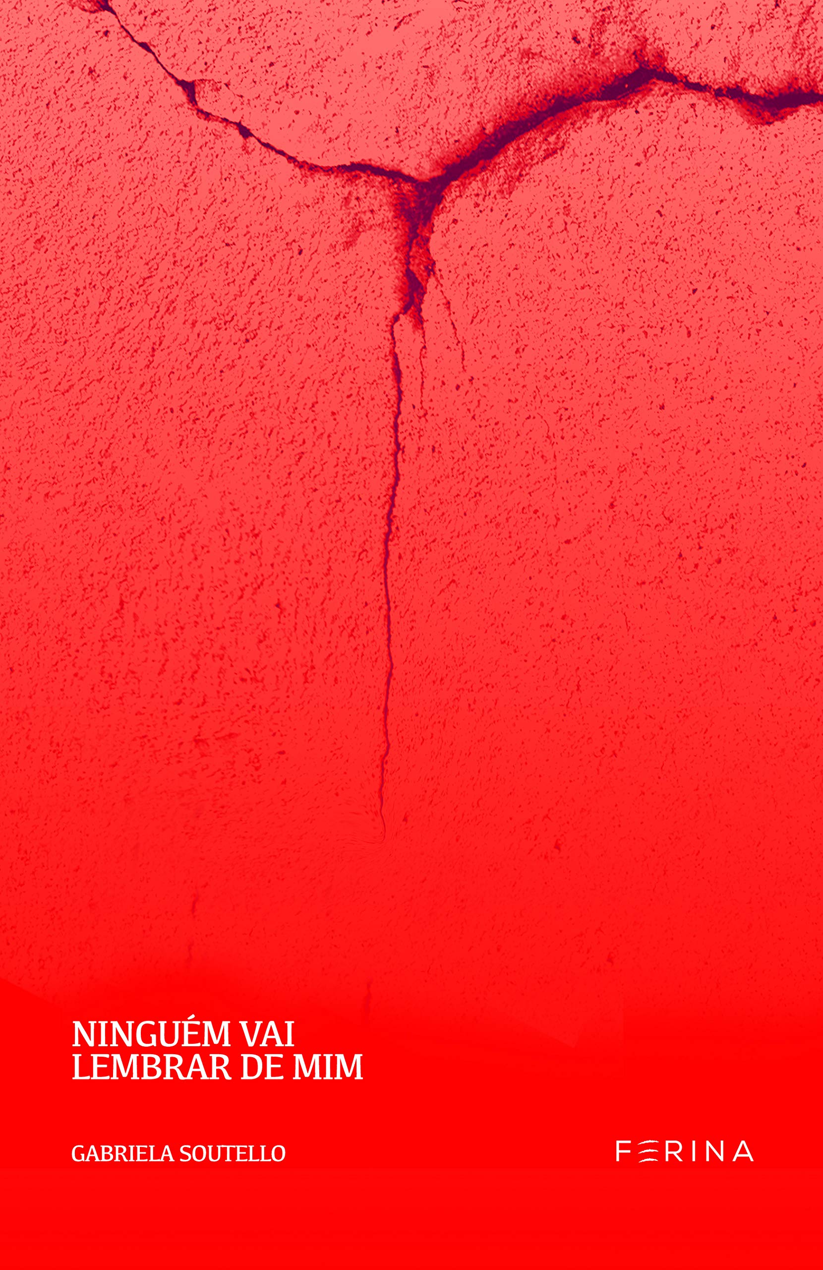 Ninguém vai lembrar de mim book cover