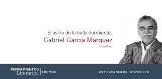 Sleeping Beauty and the Airplane book cover