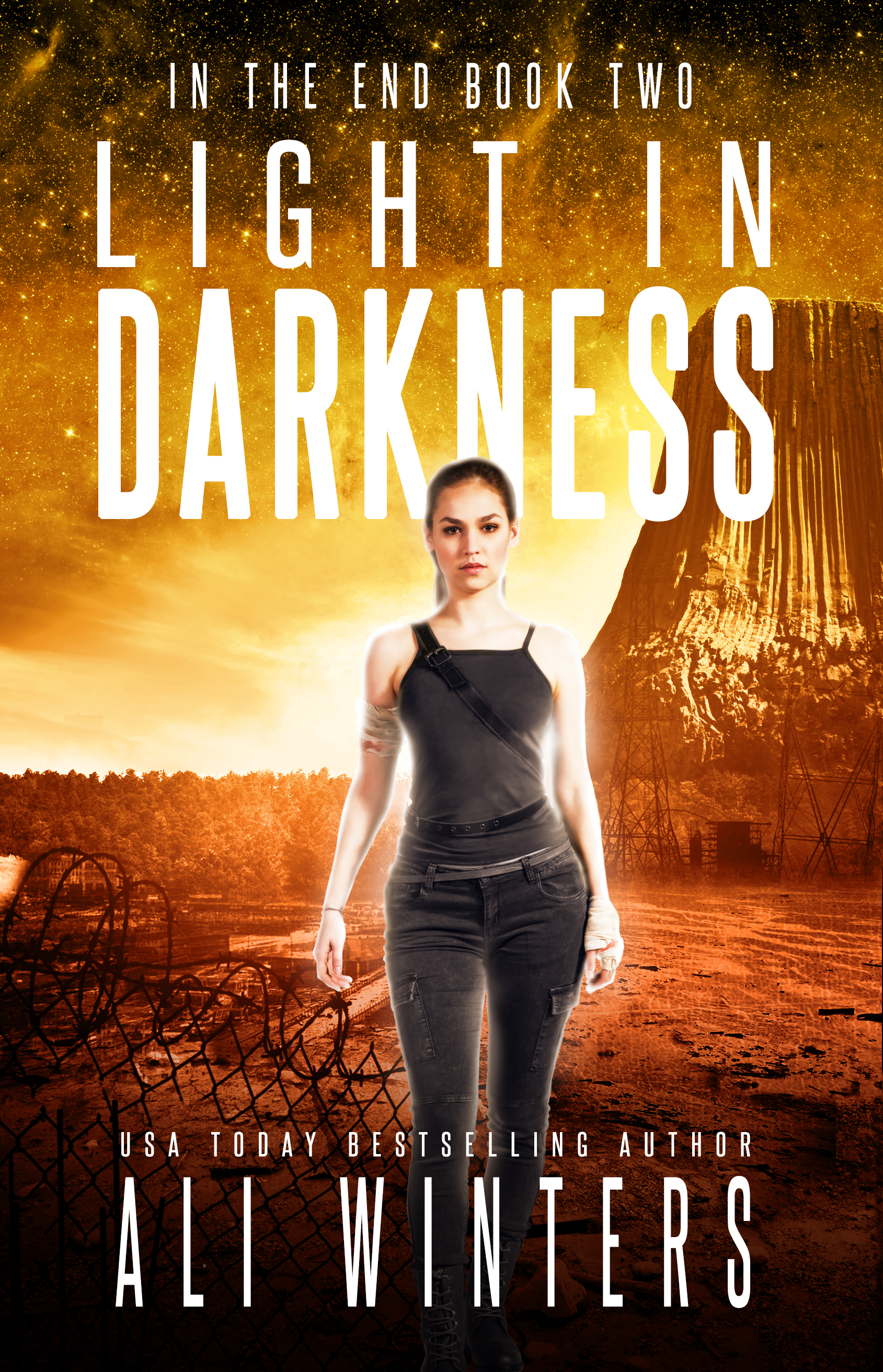 Light in Darkness book cover