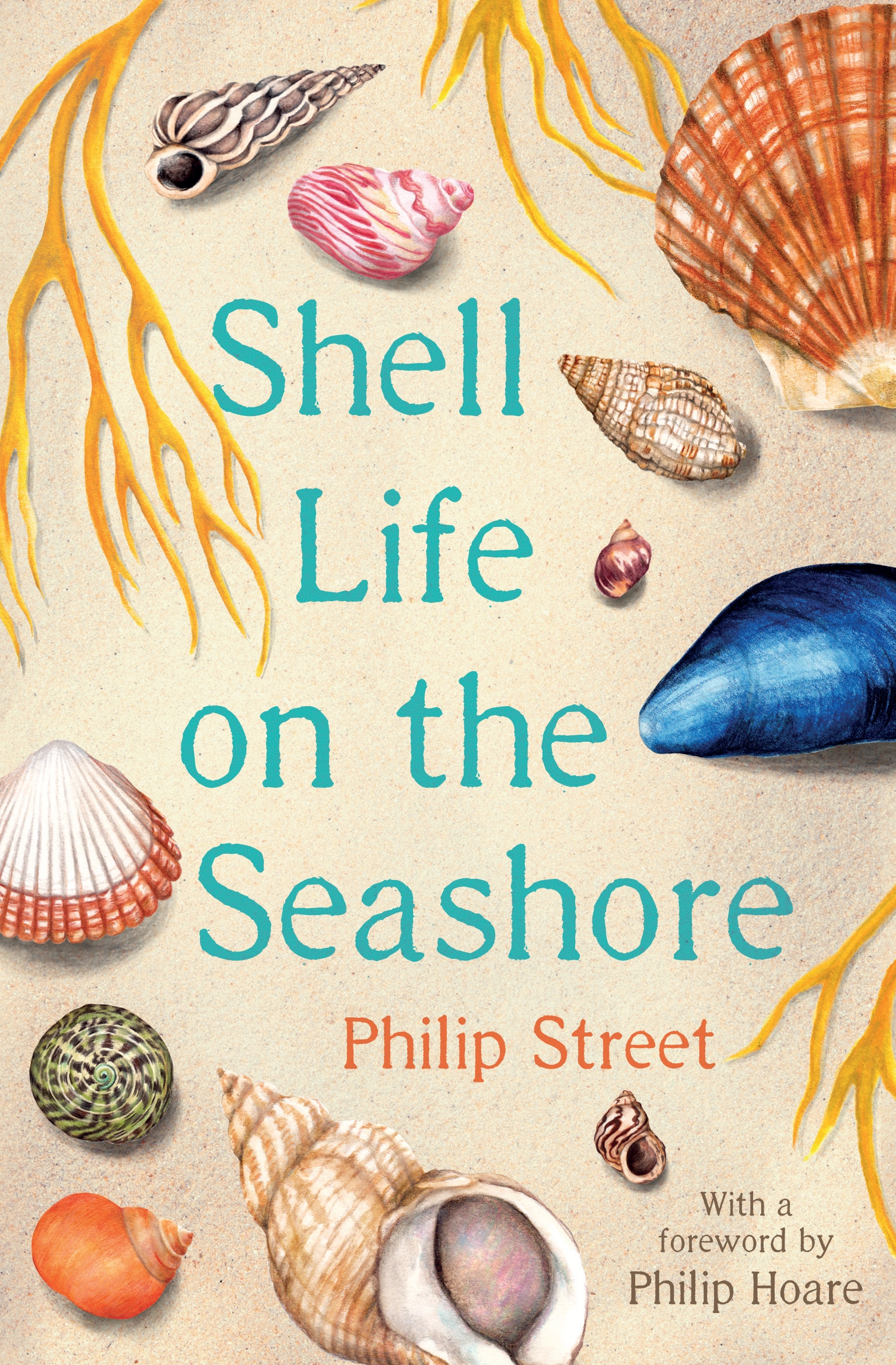 Shell Life on the Seashore by Philip Street | Goodreads