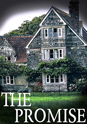 The Promise book cover