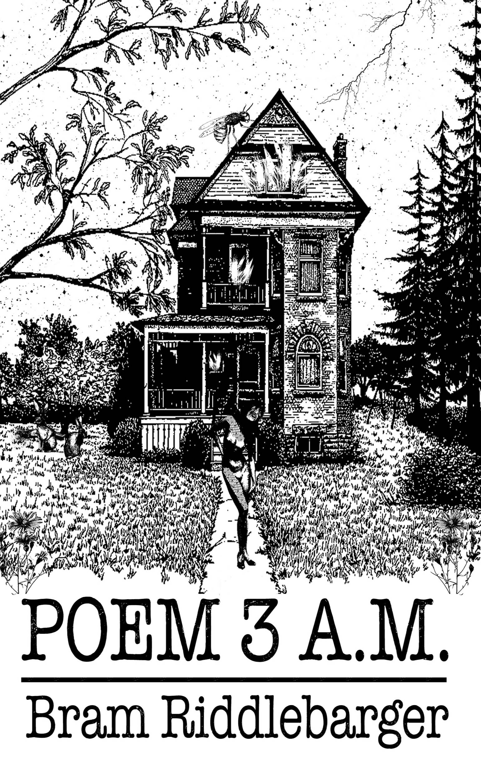 Poem 3 A.M. by Bram Riddlebarger | Goodreads
