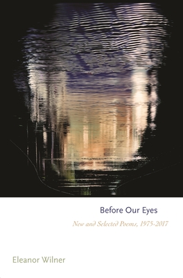 Before Our Eyes book cover