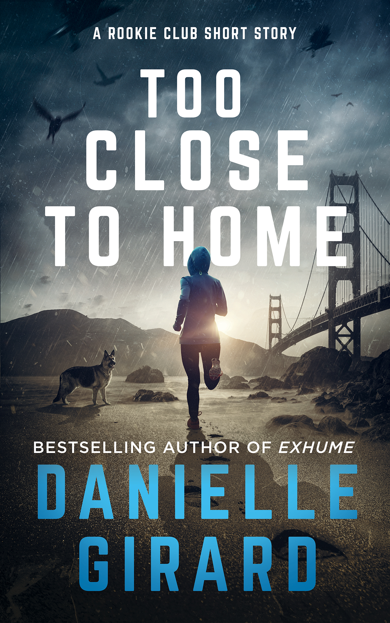 Too Close to Home book cover