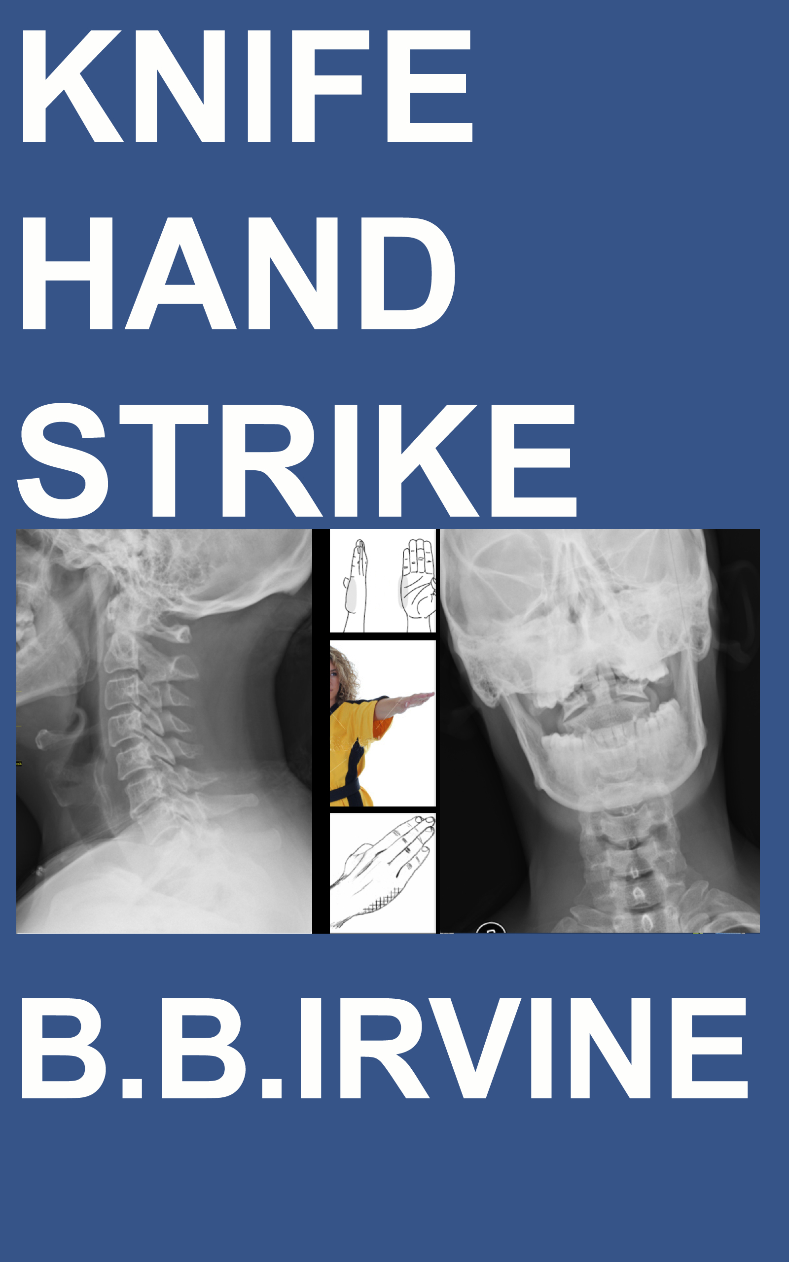 Knife Hand Strike by B.B. Irvine Goodreads