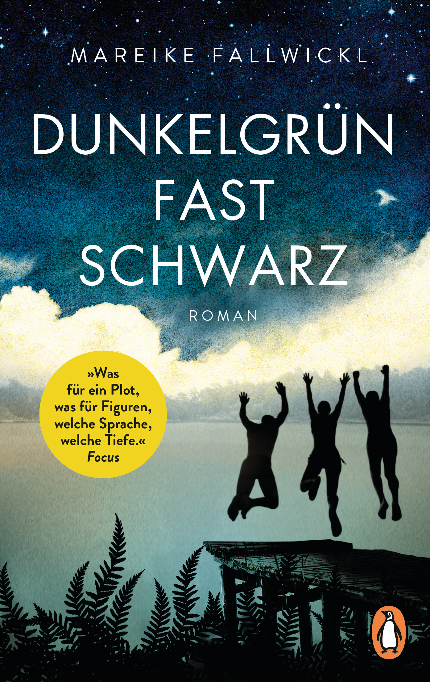 Dunkelgrün fast schwarz book cover