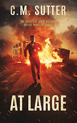 Detective Jesse McCord book cover 2