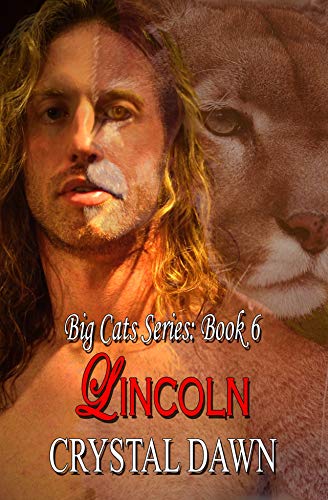 Lincoln book cover
