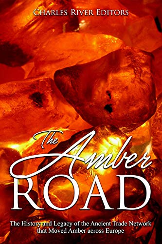 The Amber Road book cover