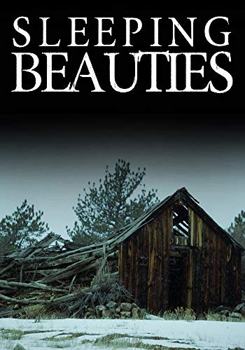 Sleeping Beauties book cover