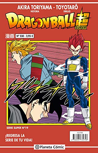 Dragon Ball Super 19 book cover
