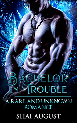Bachelor In Trouble book cover