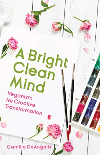 A Bright Clean Mind book cover