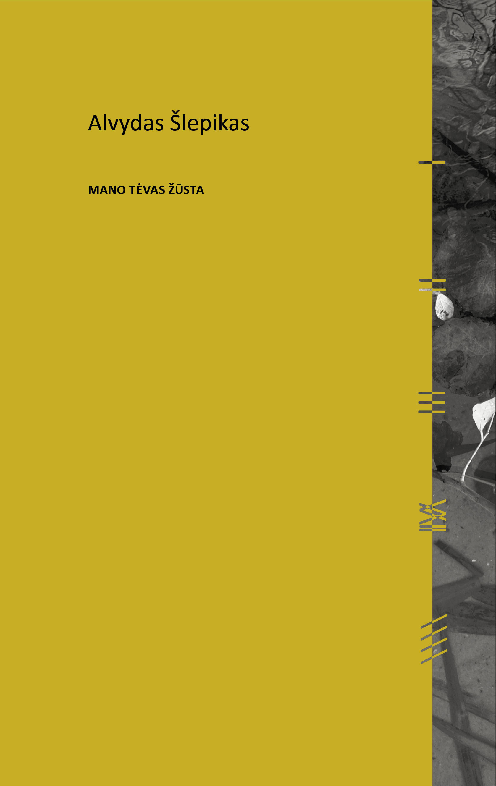 Mano tėvas žūsta book cover