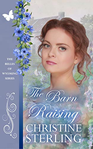 The Barn Raising book cover