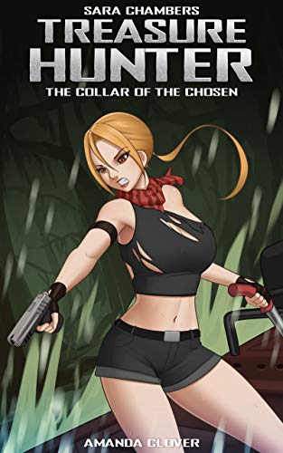 Sara Chambers book cover