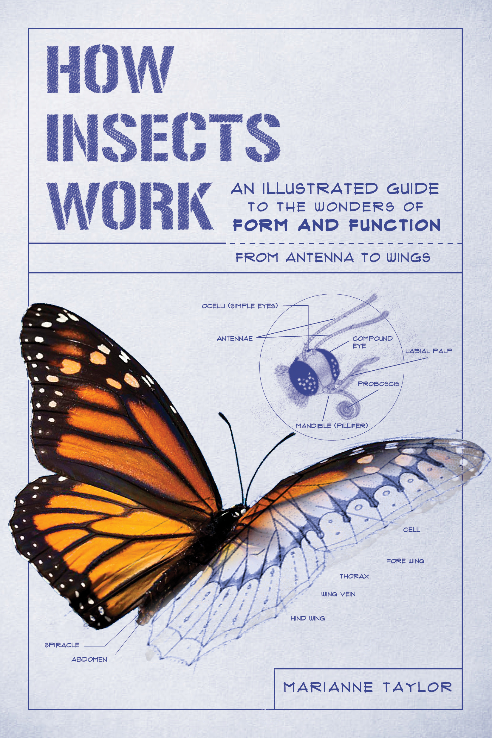How Insects Work: An Illustrated Guide to the Wonders of Form and Function—from Antenna to Wings