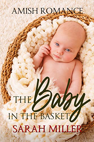 The Baby in the Basket book cover