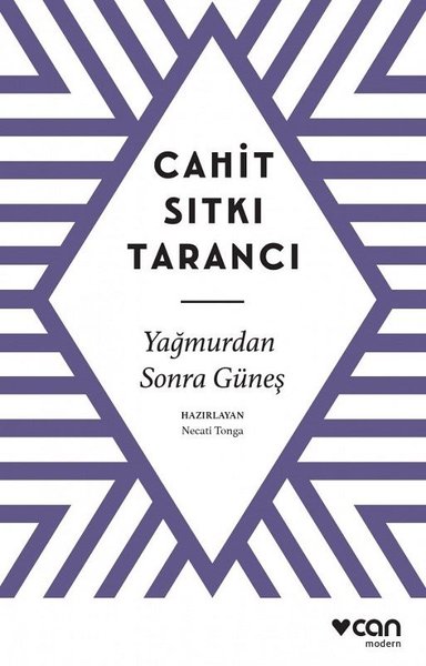 Yağmurdan Sonra Güneş book cover