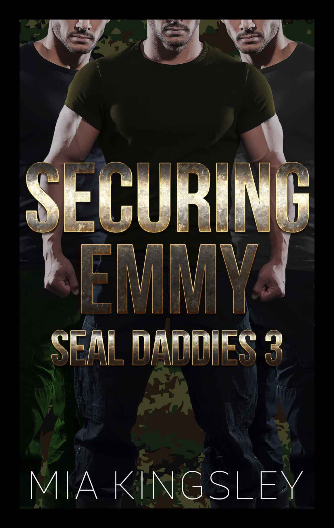 SEAL Daddies book cover 1