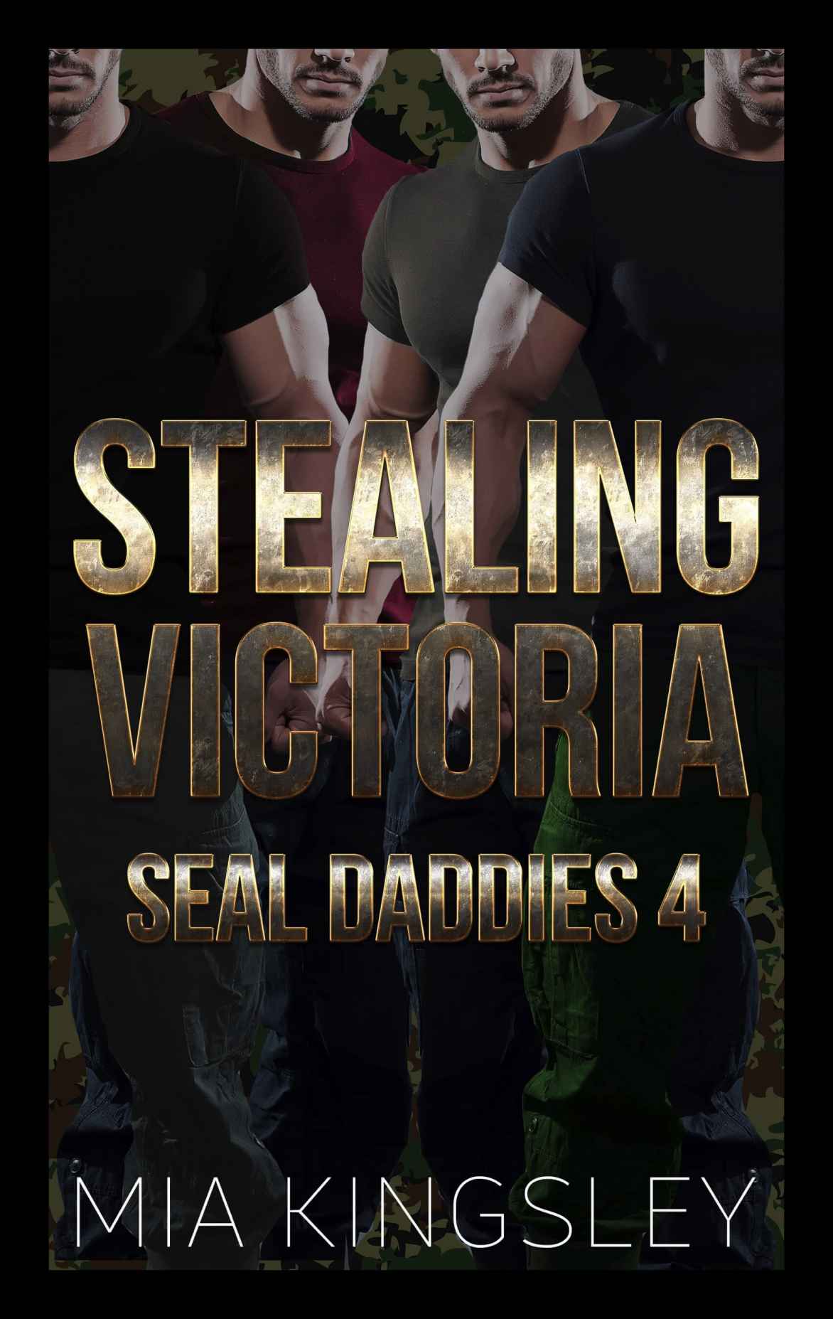 SEAL Daddies book cover 1