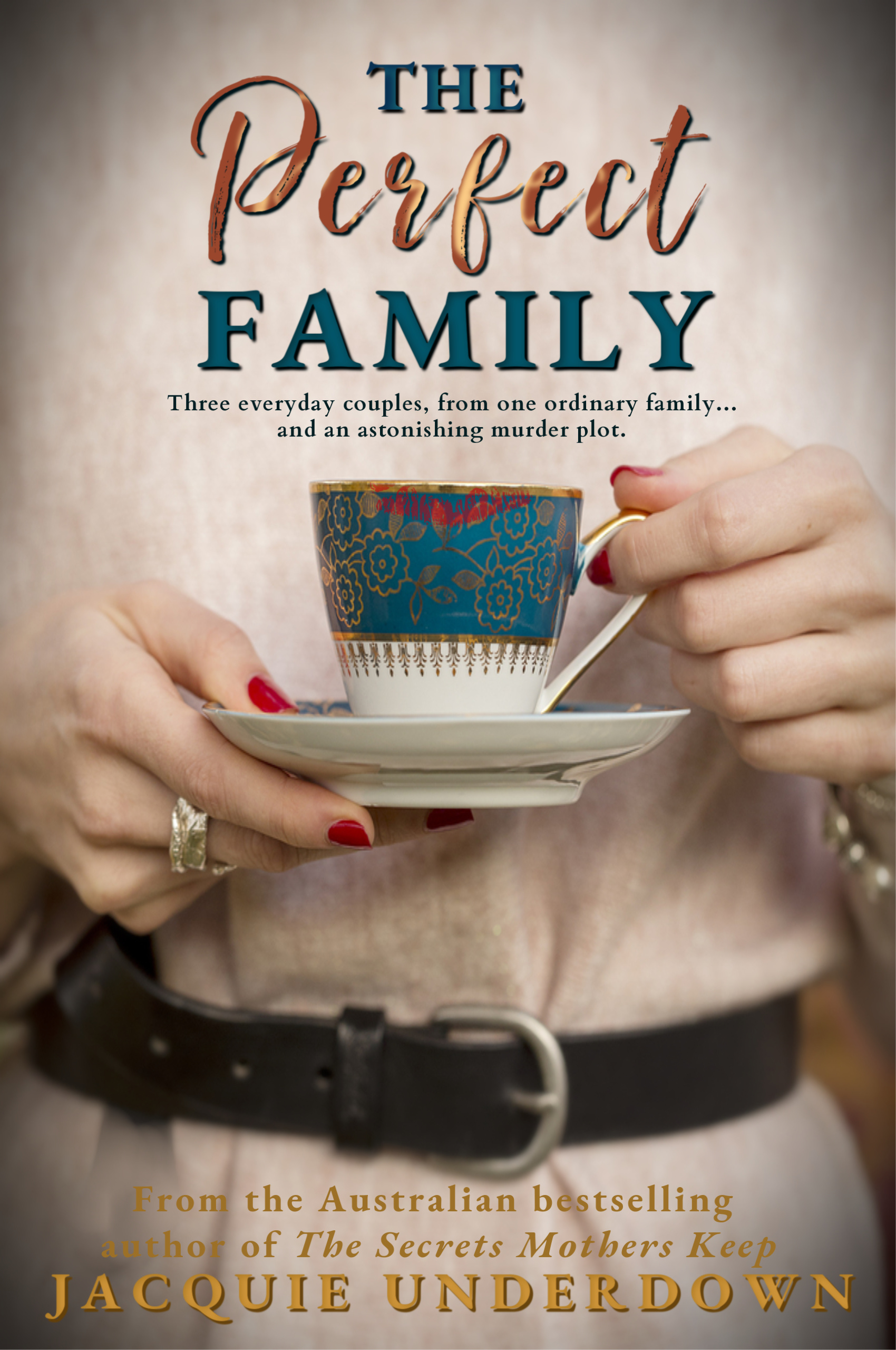 The Perfect Family book cover
