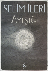 Ayışığı book cover