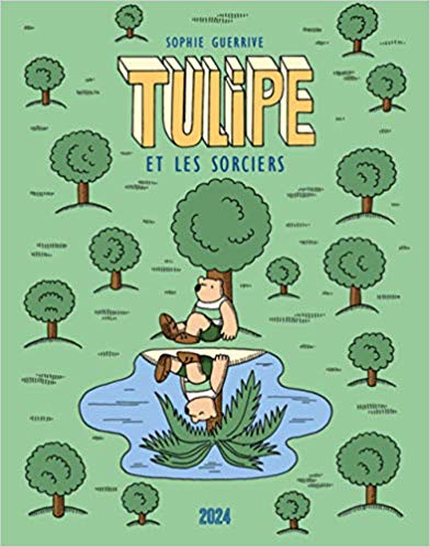 Tulipe et les sorciers book cover