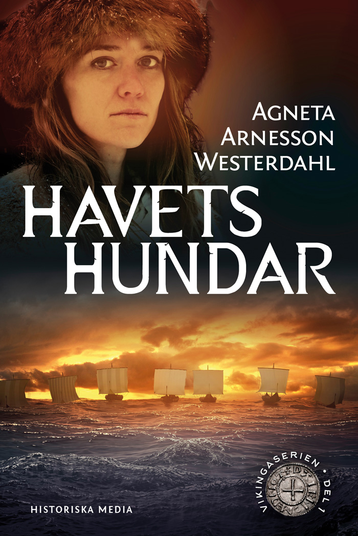 Vikingaserien book cover 1