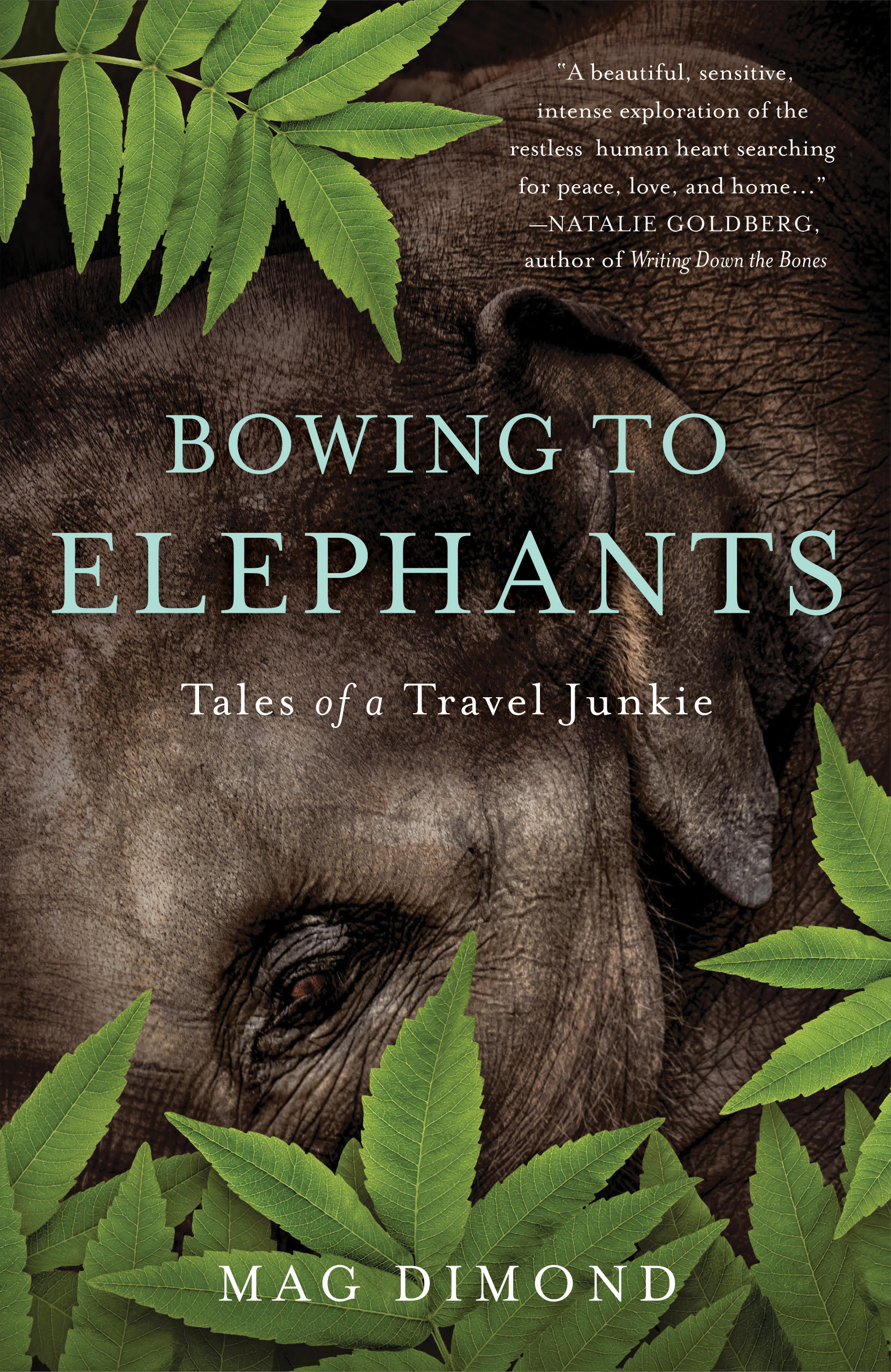 Bowing to Elephants book cover