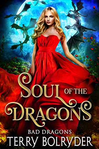 Soul of the Dragons book cover