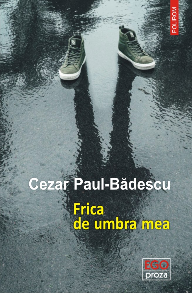Frica de umbra mea book cover
