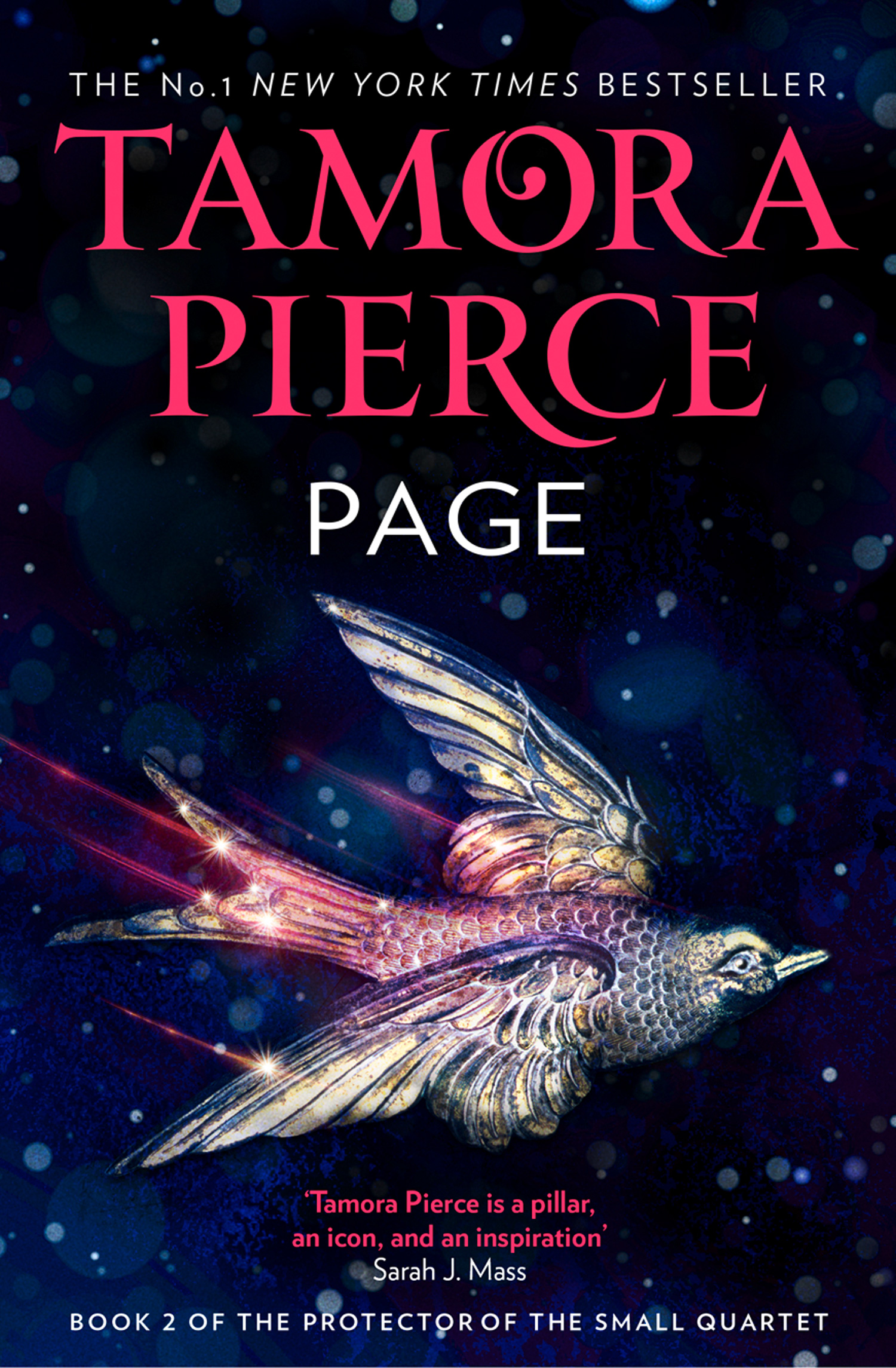 Page (Protector of the Small, #2)