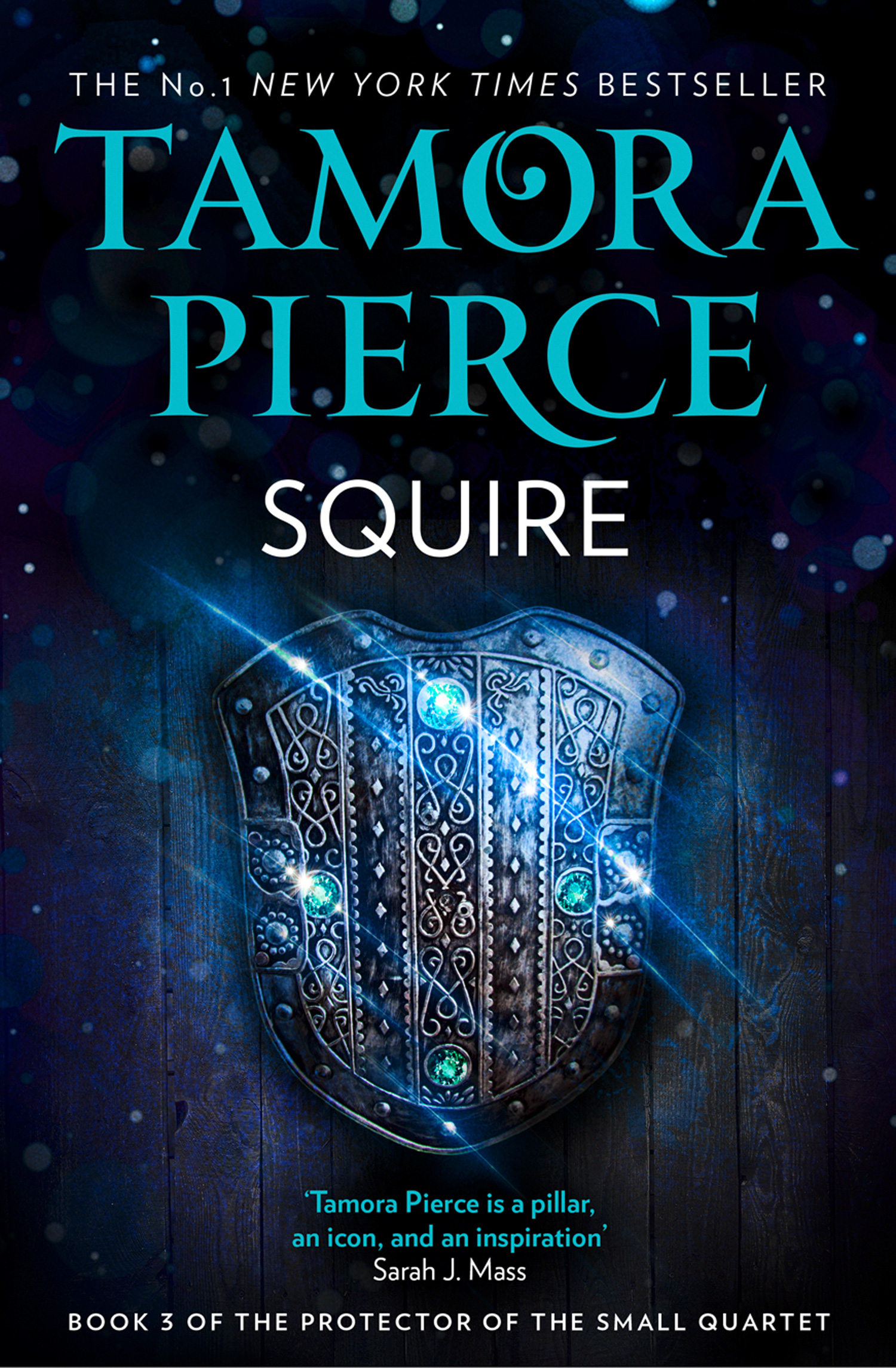 Squire (Protector of the Small, #3)