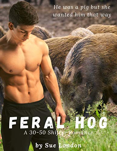 Another Damn Shifter book cover 1