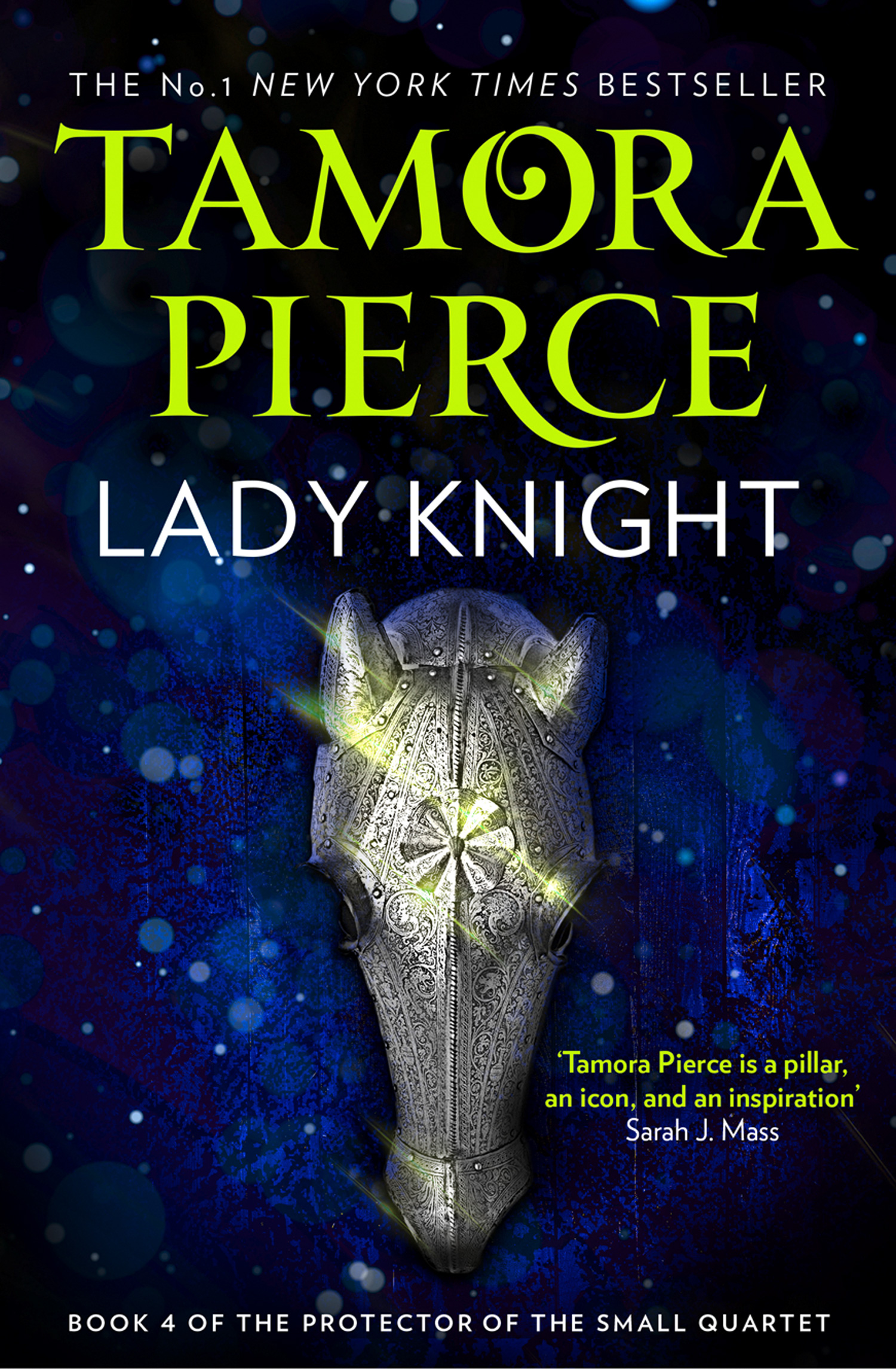 Lady Knight (Protector of the Small, #4)