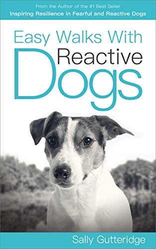 Easy Walks With Reactive Dogs