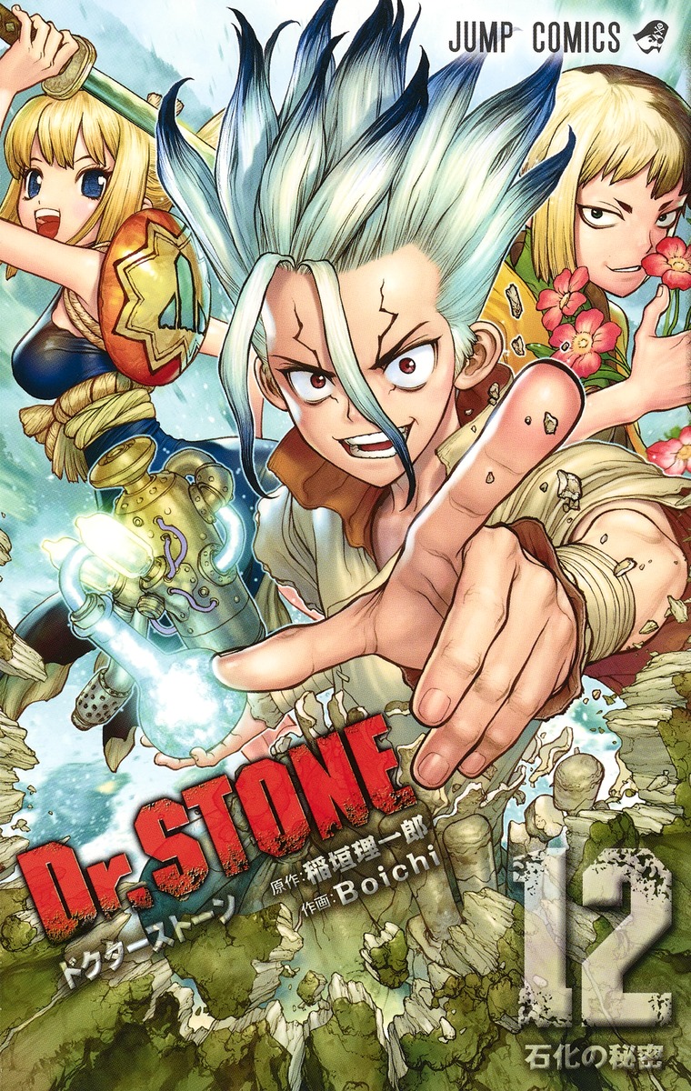 Dr.STONE 12 book cover